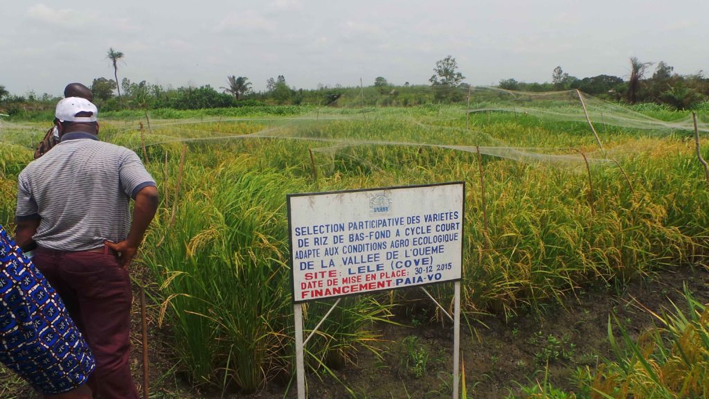 Agriculture : Groupement Togolais « Alternative BTP/GTP » décroche un marché de plus d’un milliard de Francs CFA au Bénin