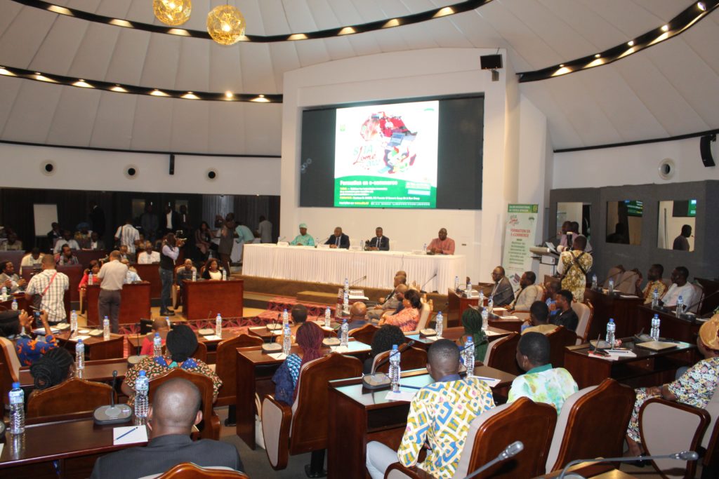 Togo : les artisans se transportent sur le web