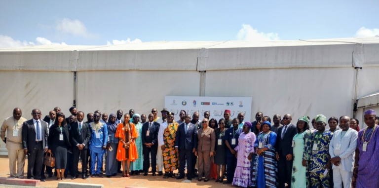 CEDEAO : Les acteurs du volontariat en conclave à Lomé