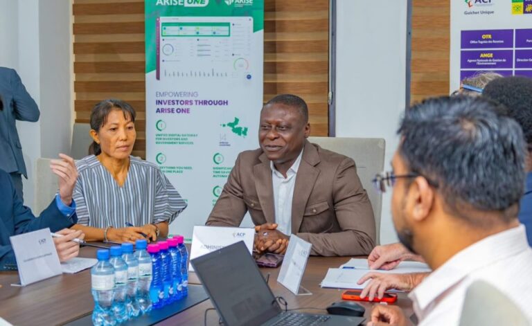 Togo/investissements : Des entreprises japonaises en prospection à la PIA
