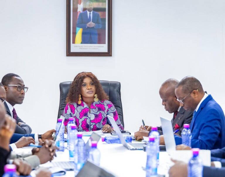 Projets de développement au Togo : Cap sur la rigueur et les résultats concrets