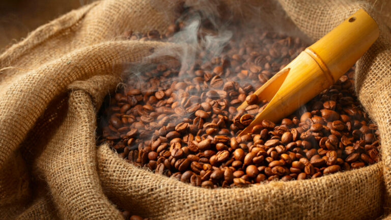Filières café-cacao : Le CCFCC publie les prix aux producteurs pour la 1ère quinzaine de juillet 2026